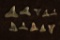10 SHARK TEETH, HEMIPRISTIS SERRA, MIOCENE ERA