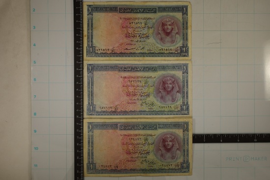 3 EGYPT 1 POUND NOTES