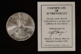 2010 AMERICAN SILVER EAGLE BRILLIANT UNC