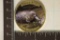 1 OZ. GOLD PLATED AUSTRALIA RARE WILD ANIMALS PF