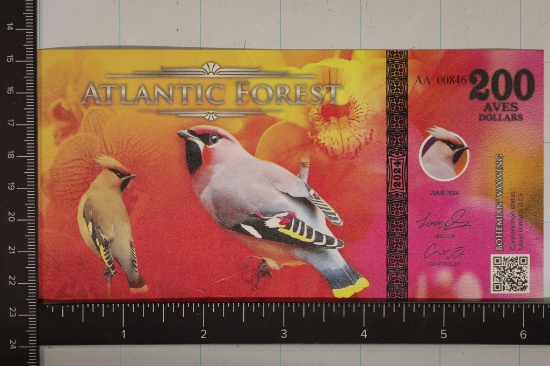 2024 ATLANTIC FOREST CU 200 AVES COLORIZED