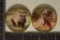 2-1 OZ. GOLD PLATED AUSTRALIA RARE WILD ANIMAL PF