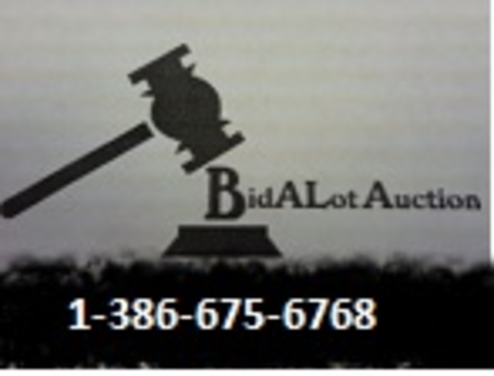 BIDALOT COIN AUCTION MON. JUNE 9TH AT 7 PM EDT