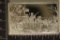 2.05 OZ. PF STERLING SILVER BICENTENNIAL COUNCIL