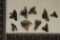 9-MIOCENE ERA SHARKS TEETH, MILLIONS OF YEARS