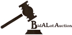 BidALot Coin Auction