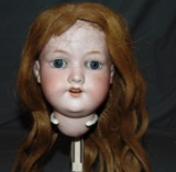 Armand Marseille Bisque Head Doll