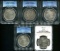 Morgan Silver Dollar Lot of Five.