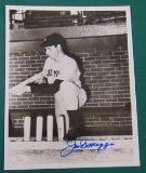 Joe DiMaggio Signed 8 x 10 Photo