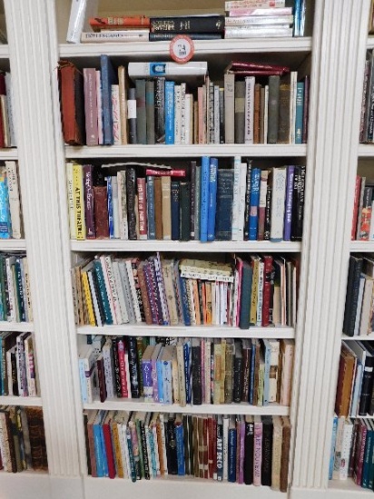 Contents of 1 Section of Shelving - Art Books, Novels, Antique Catalogs, Bo