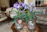 Pair Clear Glass Planters