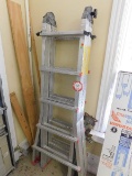 Aluminum Folding Extension Ladder/Step Ladder