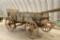 Antique Horse Drawn Wagon w/ Wooden spoked wheels