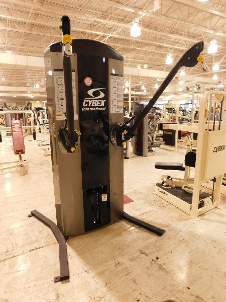 Cybex FT 360 Functional Trainer Proxibid