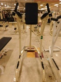 Cybex Hip and Leg Raise Bench