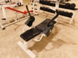 The Ab Bench