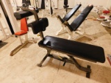 Cybex Adjustable Ab Bench