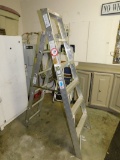 Werner 6 FT Aluminum Step Ladder, and a 3 FT Step Stool