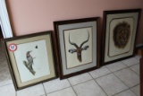 (3) Framed Wildlife Watercolors (2) By Ray Harm, Signed and (1) African Lio