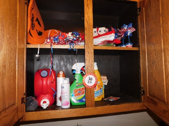 Contents of Cabinets, Various Cleaning Chemicals, Koozies, Ironing Board, B