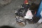 Ford 4 Cylinder Twin Cam Engine, Used
