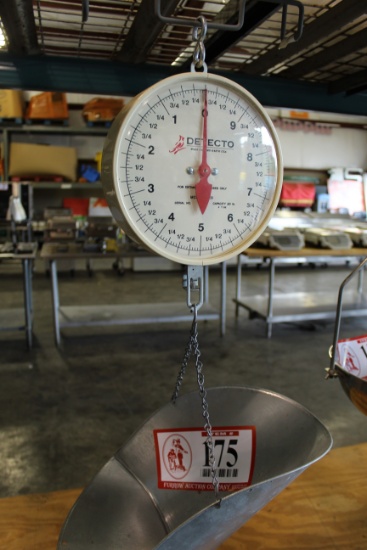 (2) Detecto 20lb Hanging Scales