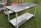 Metal & Stainless Steel Work Table On Casters 60