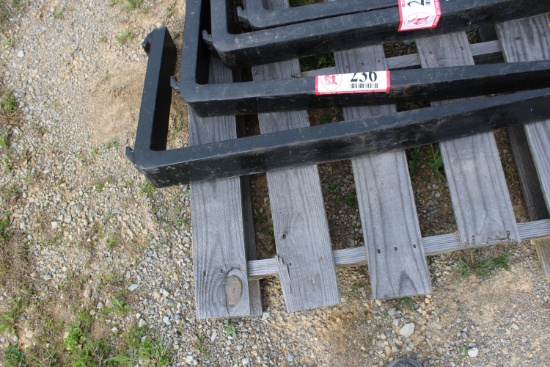 Set of Forks
