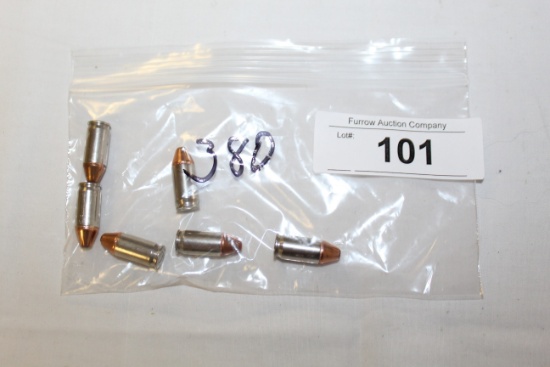 (6) Rounds .380 Ammo