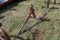 3 Point Bale Spear