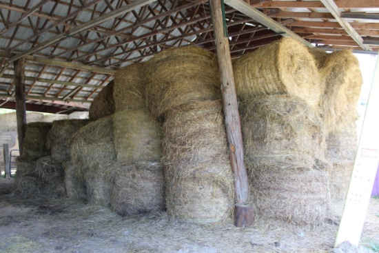 Approx. 100 Round Bales of Hay