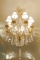 Chandelier Brass w/prisms 8 light w/shades,  Approx. 36