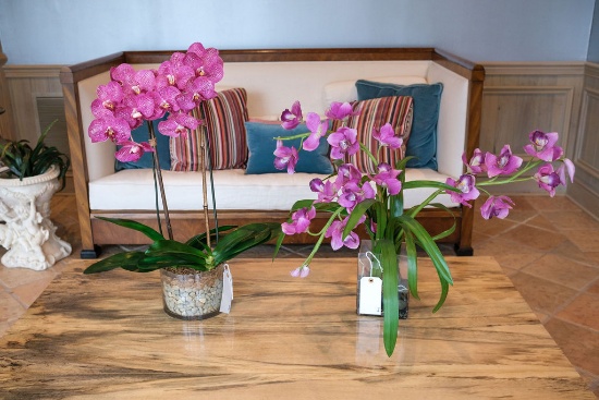 Qty. (2) Orchids