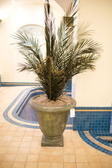 Pair (2) of Concrete Urns charcoal grey finish,  Approx.  27"H x 27"D