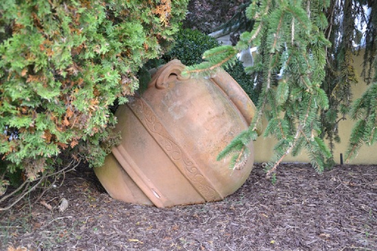 Large terra cotta Olive Jar with scroll handles, Approx.  3' x 3'