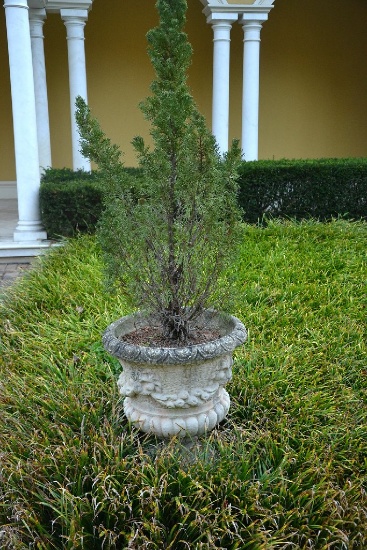 Pair (2) of footed concrete planters with lions head and swags, Approx.   2