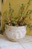 Assorted Lot to include - Qty. (2) planters plastic, Approx.   21