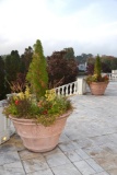 Pair (2) of extra large terra cotta planters w/raised bands and swags, Appr