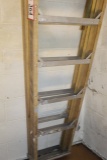 Werner Step Ladder