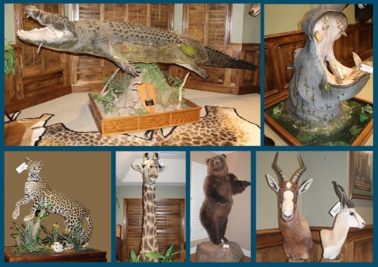 Estate Auction of Prominent Big Game Hunter