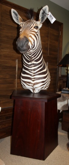 Zebra, Pedestal Mount