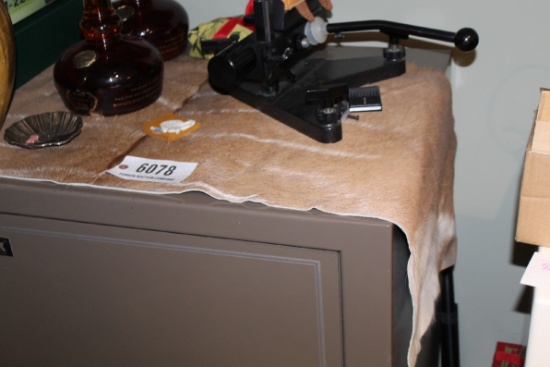 White Tail Deer Pelt