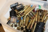 Assorted Ammunition, .380, .9mm, .44 Remington, 600 Nitro Express - Conten