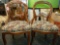 Pair Of Wooden Framed Floral Upholstery Bottom Side Chairs
