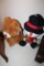 Two Stuffed Animals, Christmas Motif, One Large Bear, One Snowman, Life Siz