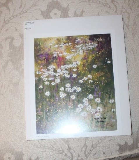 Unframed Robert Tino Print, "daisies", Signed & Numbered, #439 Of 650, 9" X