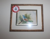 Pair Of Framed Audubon Prints - 13