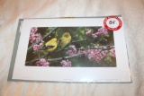 Signed & Numbered Carl Benders Print, Gleam Of Gold (gold Finch) With Certi