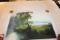 Unframed Ron Williams Original Painting, Mountain Vista With Trees In Foreg