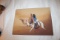 Algerian Sand Art, 